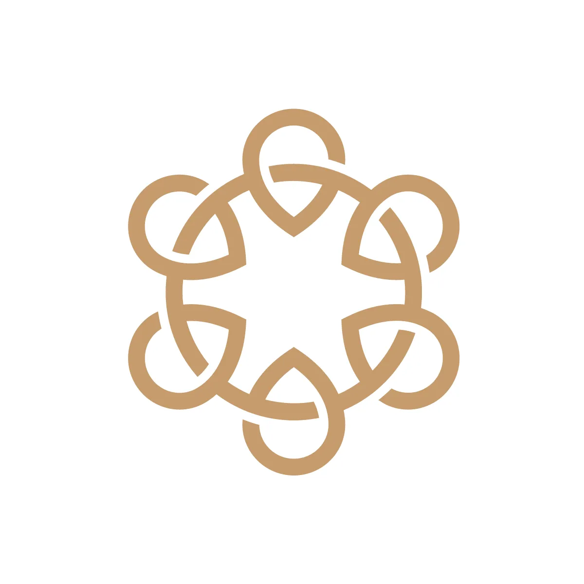 Outline Circle Pins Icon